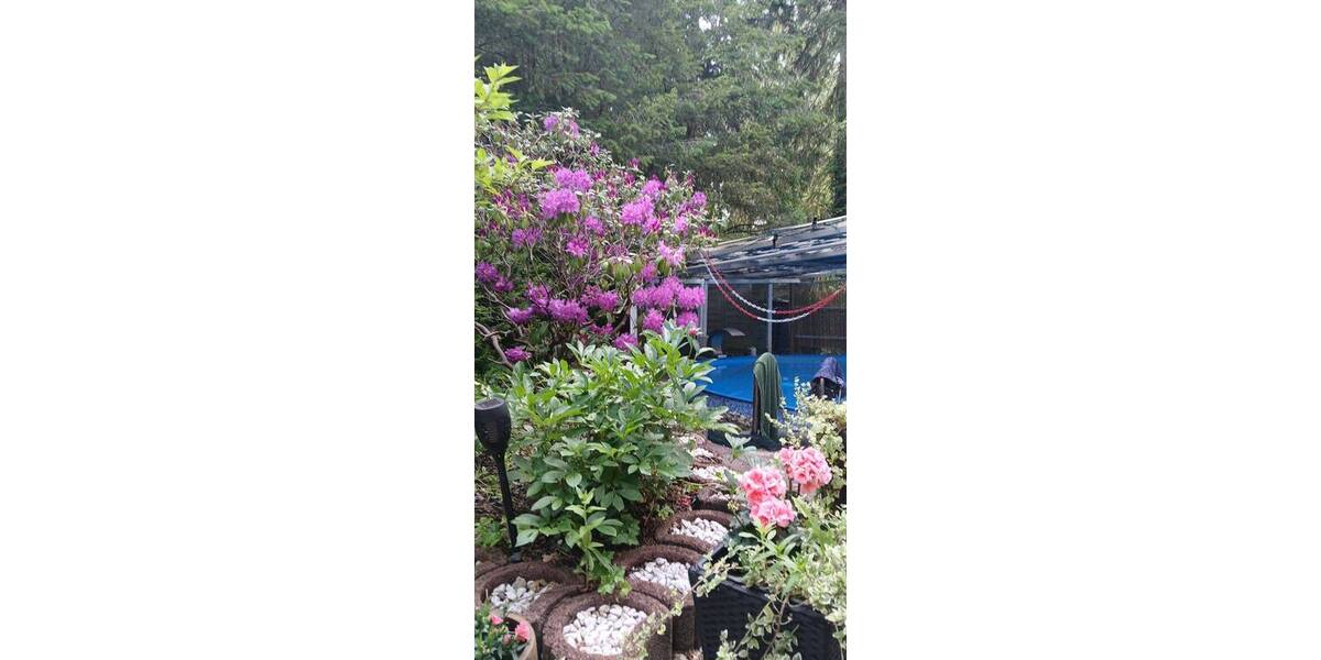 Bungalow Storkow (Mark) Alt Stahnsdorf - 2 Zimmer, 28 m&sup2;, 36.800&euro; | Angebot:26824899