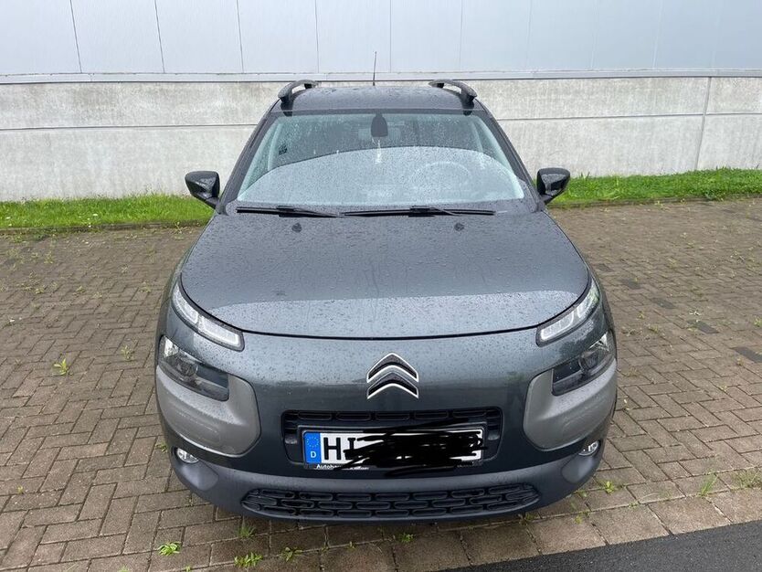 C4 Cactus