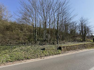 531QM EXKLUSIVES MOSELGOLDSTÜCK IN BESTLAGE - Grundstück Bullay | Angebot:26120060