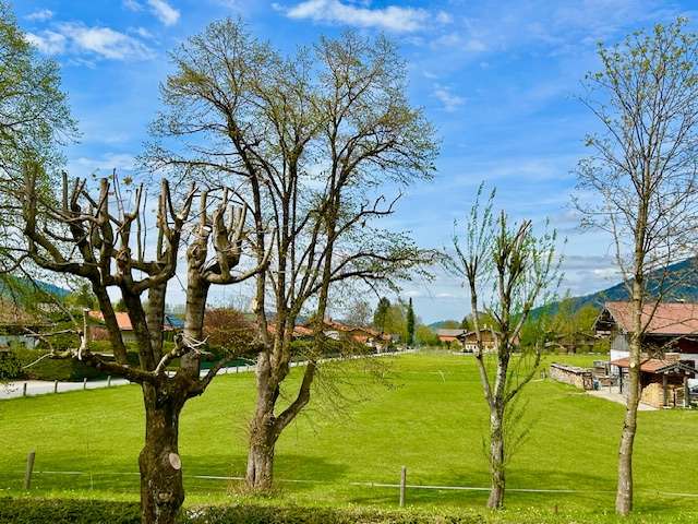 Wohnung zum Kaufen in Rottach-Egern 595.000 € 57 m²