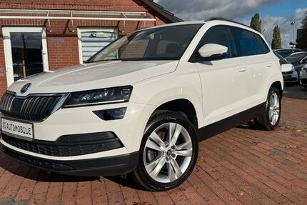 Skoda Karoq 178.625 km 17.300 &euro; Steinfeld 49439