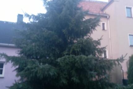 Hausverkauf Verkaufe Haus Verkauf eventuell ab Herbst 2026 6 zimmer