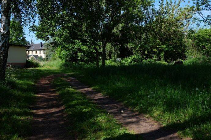 Baubeginn ab Herbst möglich - Grundstück für 12 freistehende EFH am Ortsausgang von Räpitz !