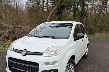 Fiat Panda 14.940 km 8.950 &euro; Erlensee 63526