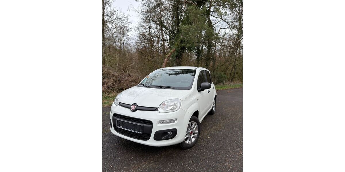 Fiat Panda 14.940 km 8.950 &euro; Erlensee 63526