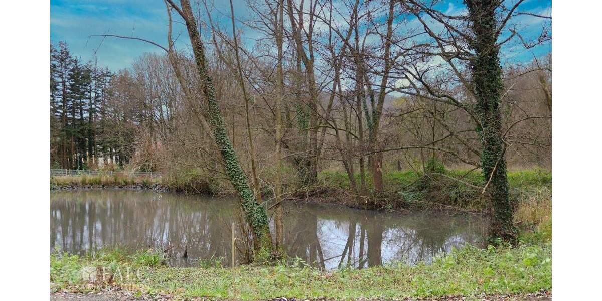 Einfamilienhaus Mömbris Niedersteinbach - 895.000&euro; | Angebot:24517273