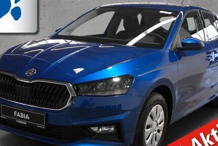 Skoda Fabia 209.756 km 14.930 &euro; Emsdetten 48282