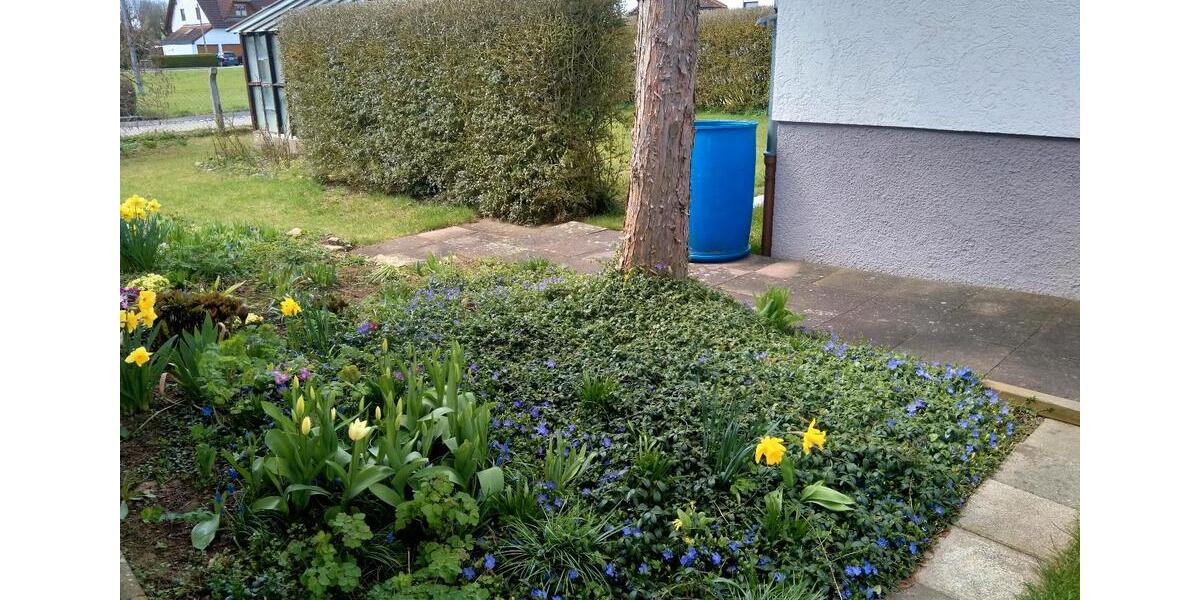 Einfamilienhaus Dillingen an der Donau - 4.5 Zimmer, 90 m&sup2;, 1.050&euro; | Angebot:26048198