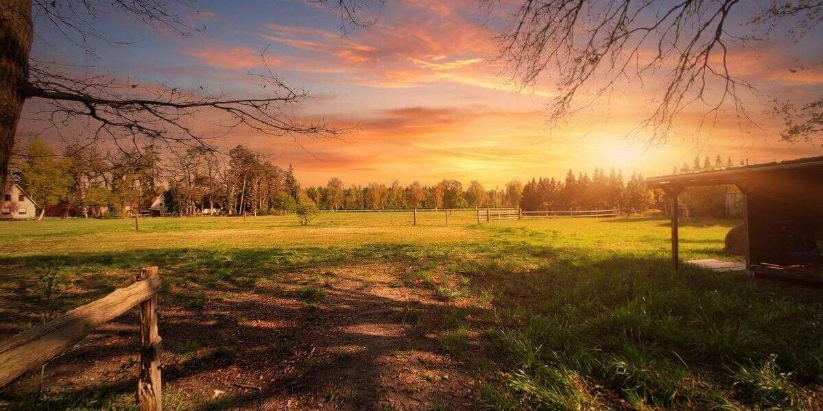 Doppelhaushälfte Neuenkirchen Grauen - 5 Zimmer, 200 m&sup2;, 299.000&euro; | Angebot:26345169