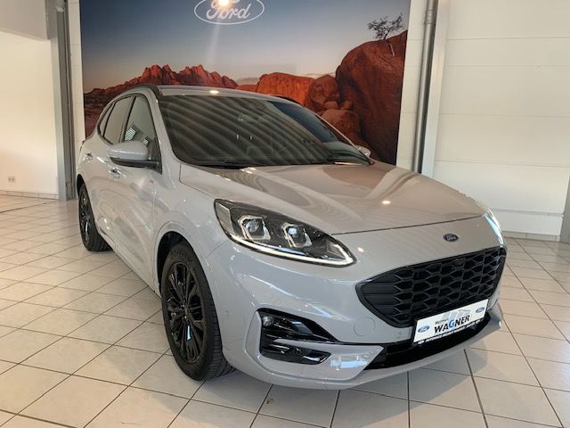 Kuga