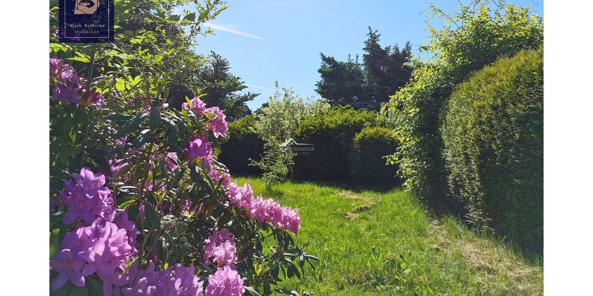 frisch renovierte DHH - Juwel in hervorragender Lage 4 zimmer