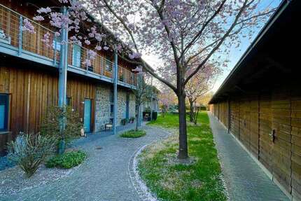 Wohnung Lich - 4 Zimmer, 96 m&sup2;, 425.000&euro; | Angebot:25384406