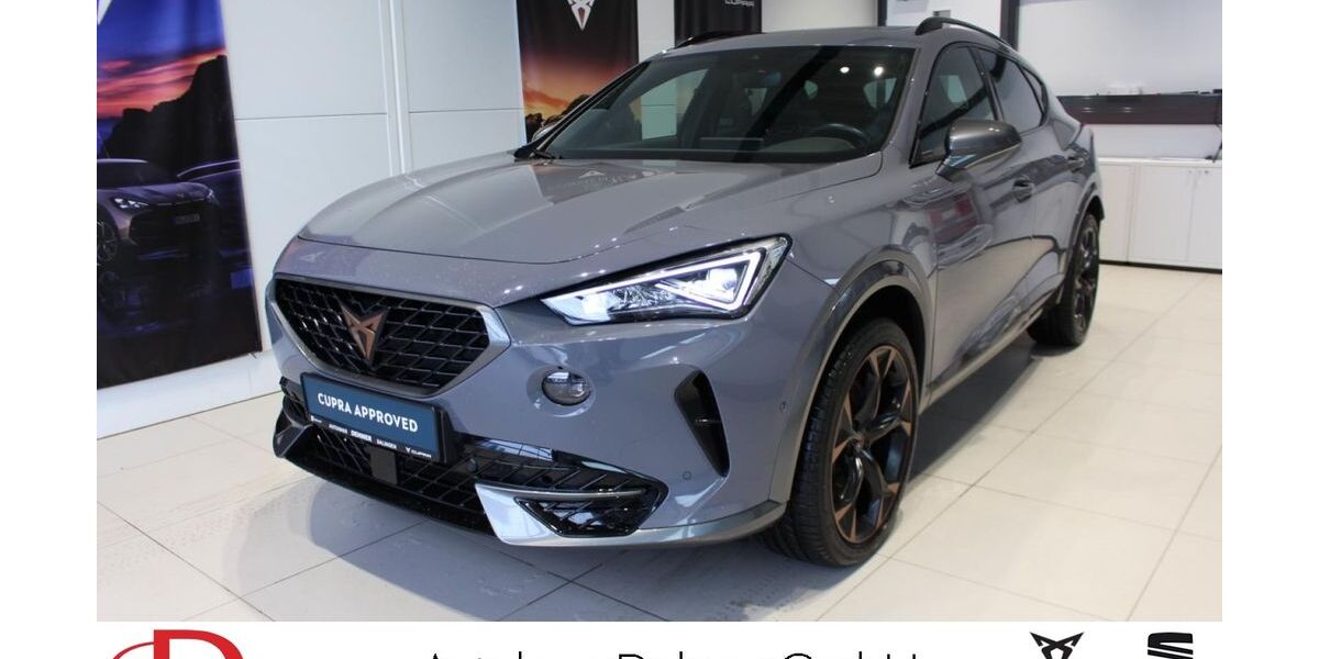 Cupra Formentor 46.350 km 31.980 &euro; Balingen 72336