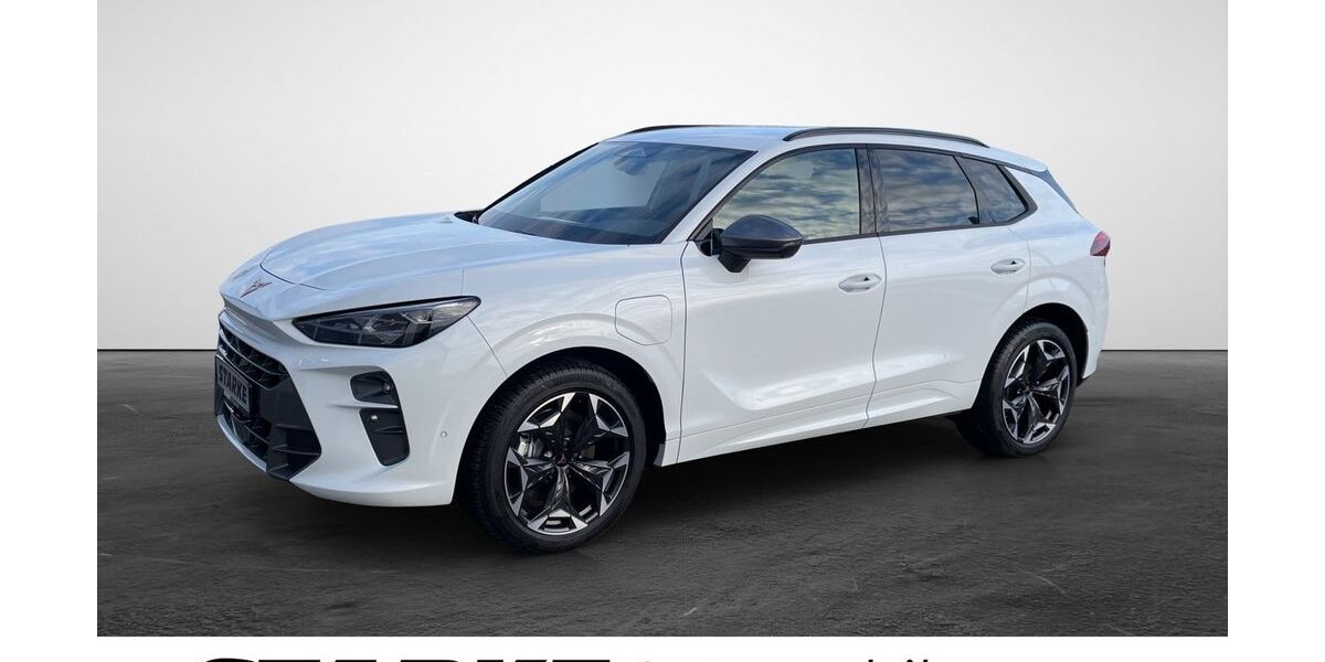 Cupra Terramar 9.900 km 45.490 &euro; Vechta 49377