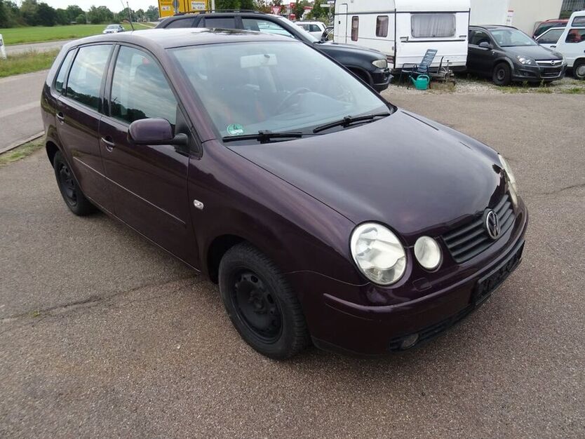 Polo