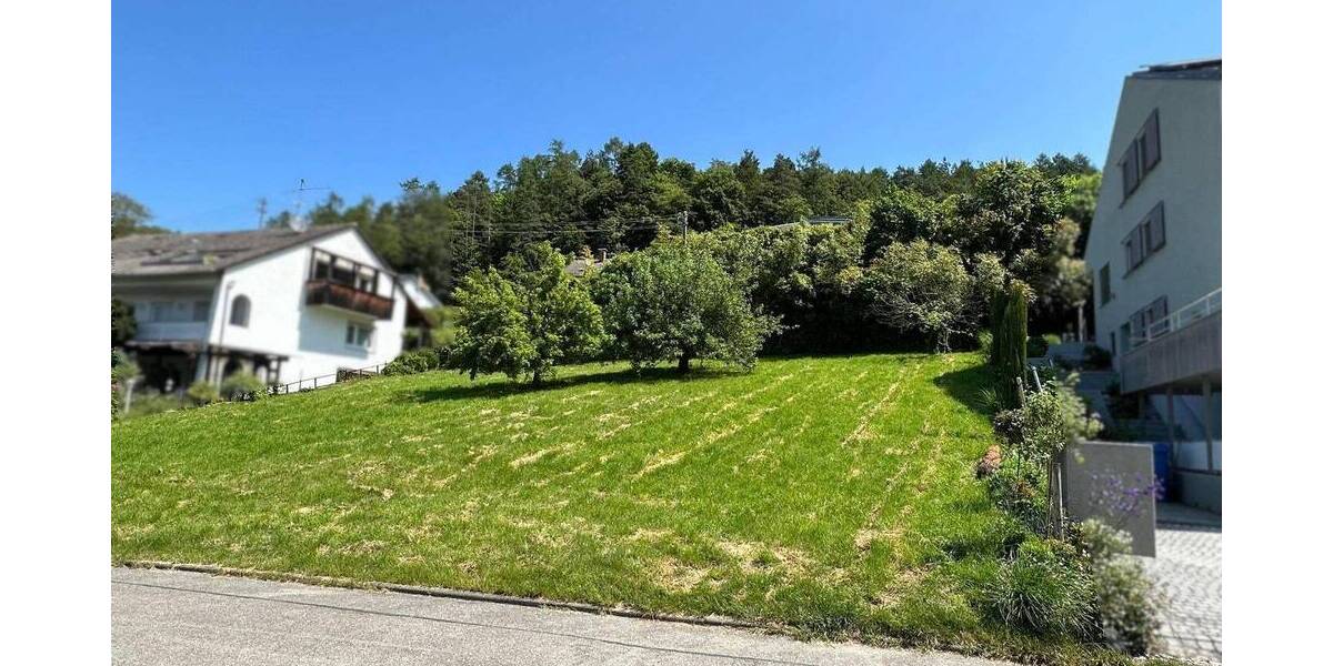Grundstück Bodman-Ludwigshafen Ludwigshafen - 990.000&euro; | Angebot:25770192