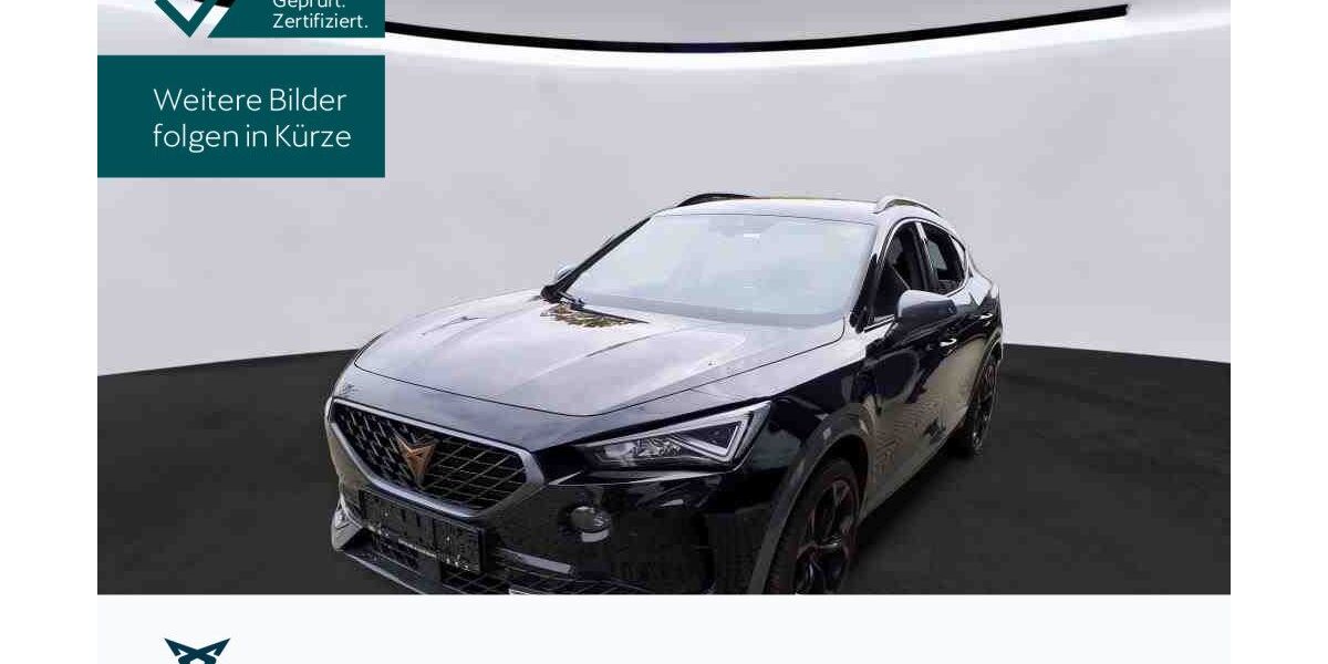 Cupra Formentor 56.443 km 26.660 &euro; Hofheim-Diedenbergen 65719