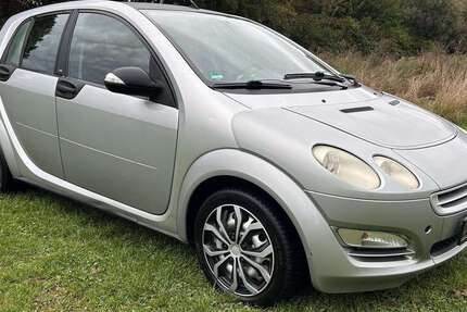Smart forFour 165.000 km 2.500 € Ludwigshafen 67063