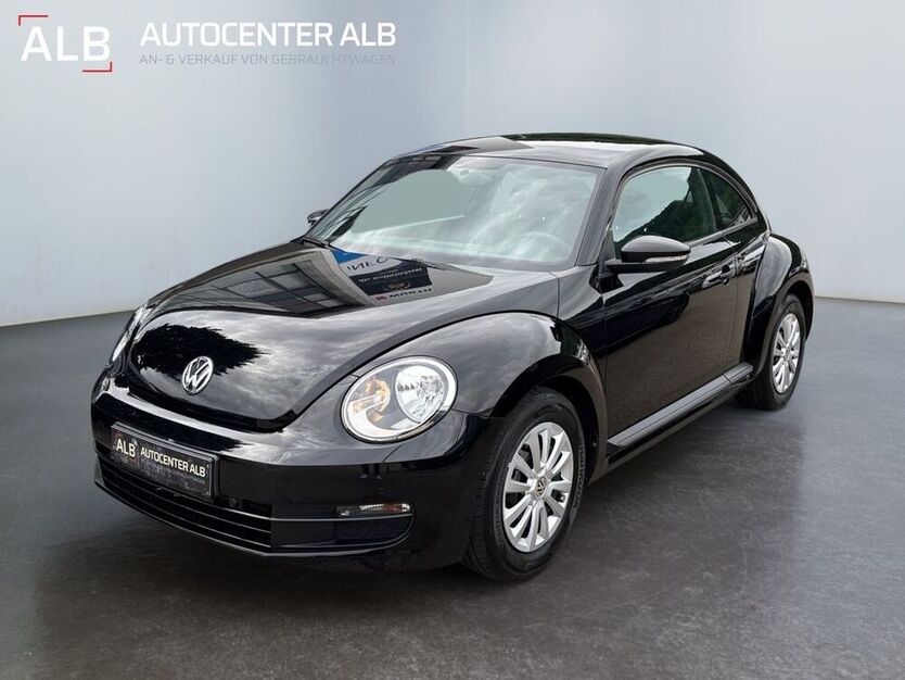 Beetle