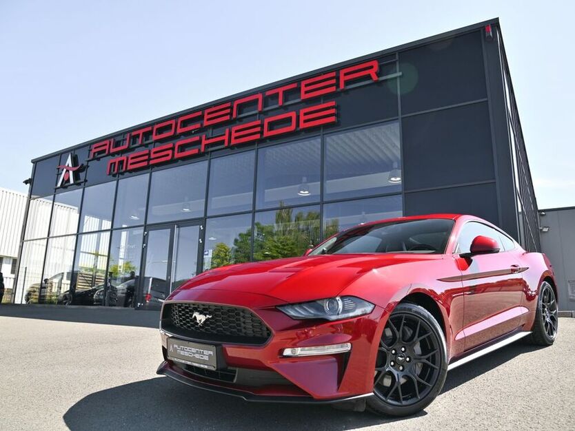 Mustang