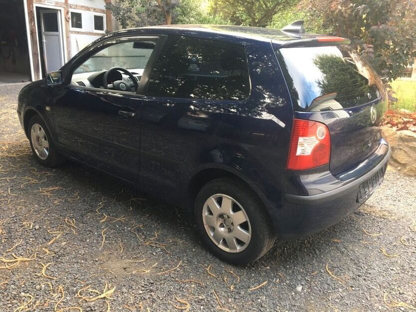 Polo