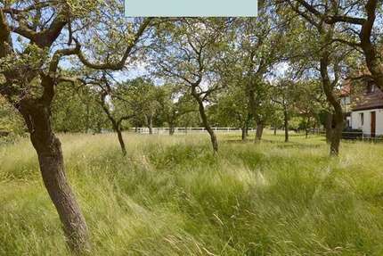 Grundstück zu verkaufen in Bad Harzburg-Westerode 65.000 € 508 m² zimmer