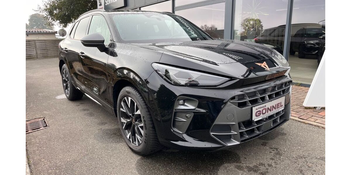 Cupra Terramar 11.224 km 34.590 &euro; Zwickau 08060