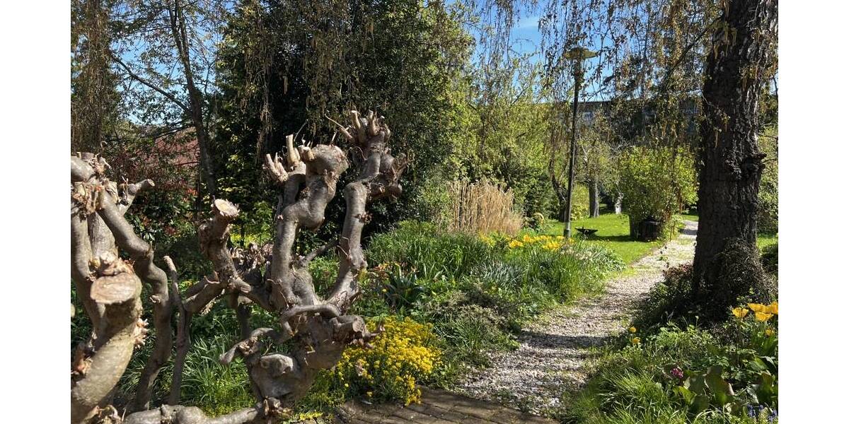 Einfamilienhaus Mechernich - 5 Zimmer, 152 m&sup2;, 239.000&euro; | Angebot:26433330