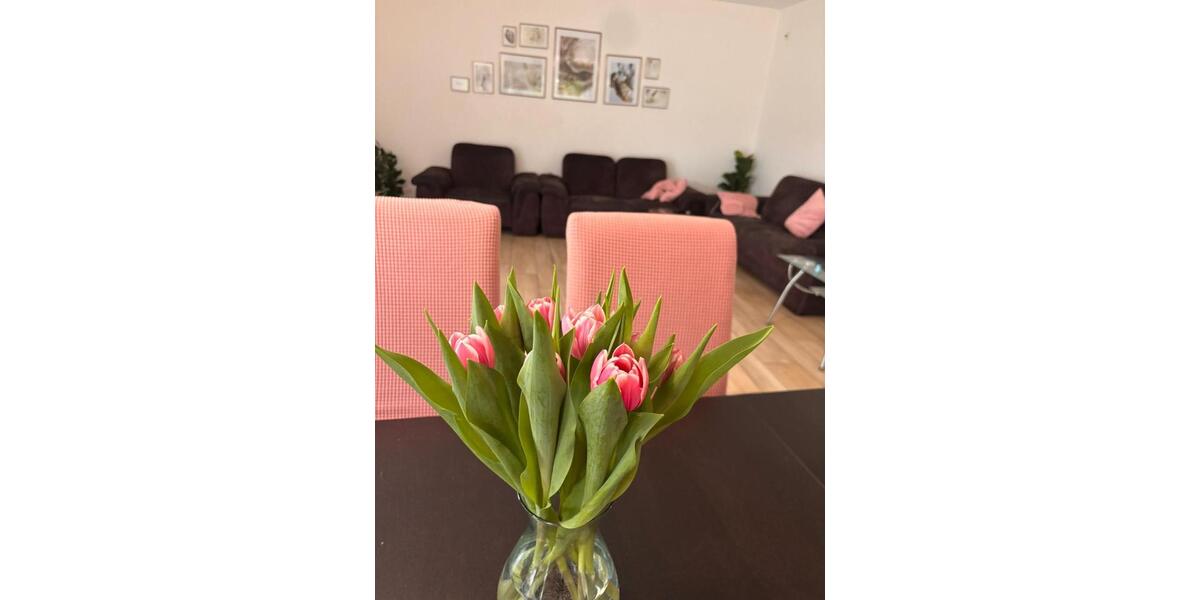 Bungalow Minden Bärenkämpen - 4 Zimmer, 210 m&sup2;, 2.400&euro; | Angebot:26126580