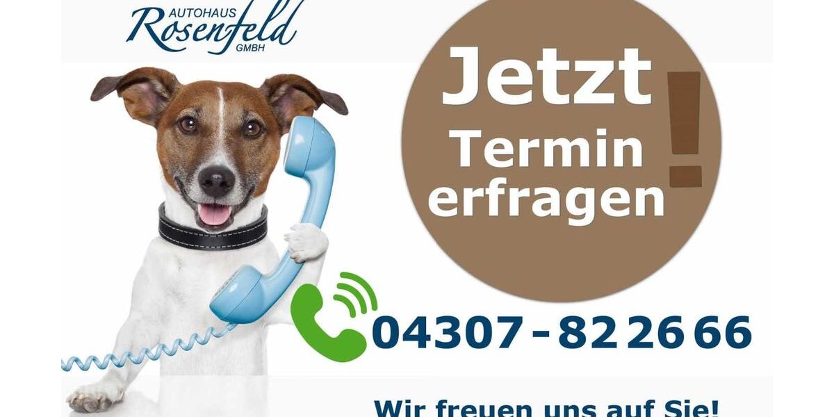 VW Crafter 113.200 km 26.788 &euro; Schwentinental (Kiel) 24223