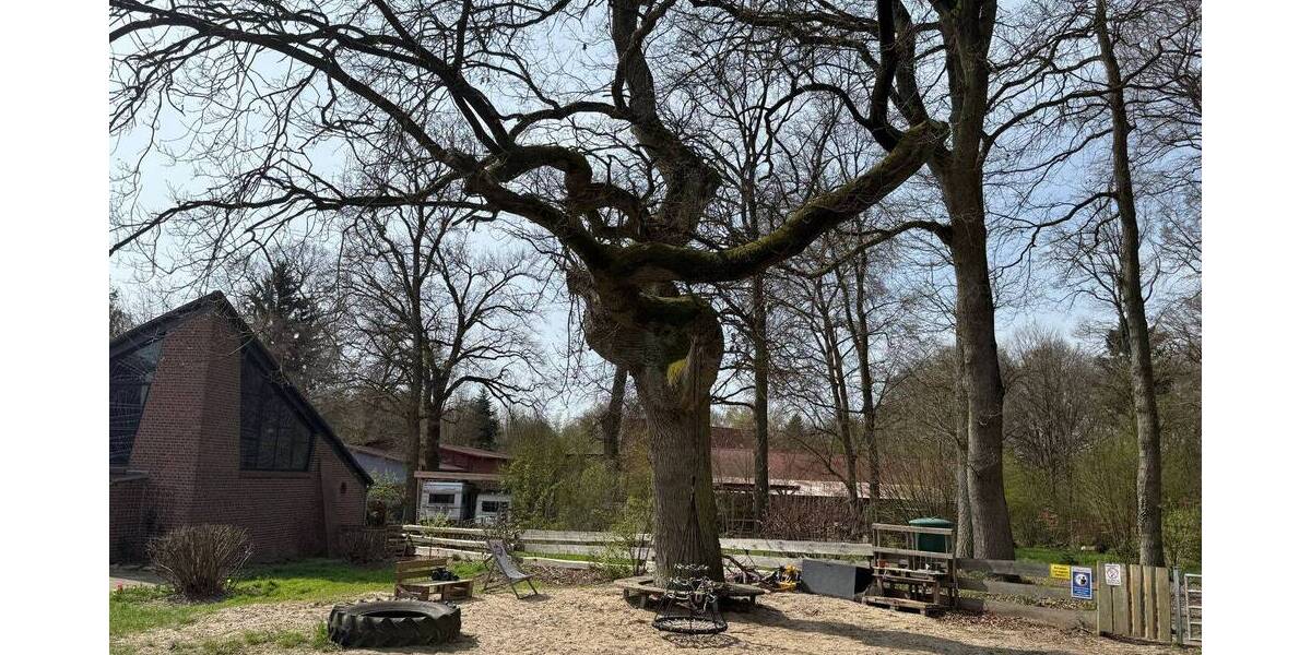 Etagenwohnung Suderburg Holxen - 2 Zimmer, 44 m&sup2;, 99.000&euro; | Angebot:26243928