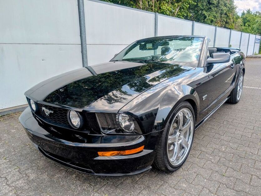 Mustang