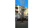 Einfamilienhaus Pirna | Angebot:26522578