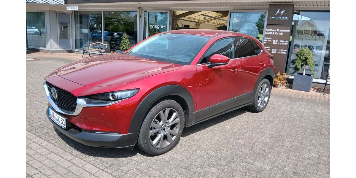 Mazda CX-30 5.500 km 31.490 &euro; Steinfeld 76889
