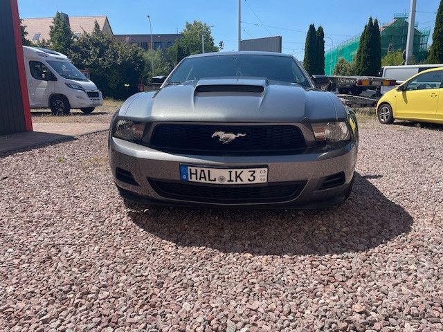 Mustang