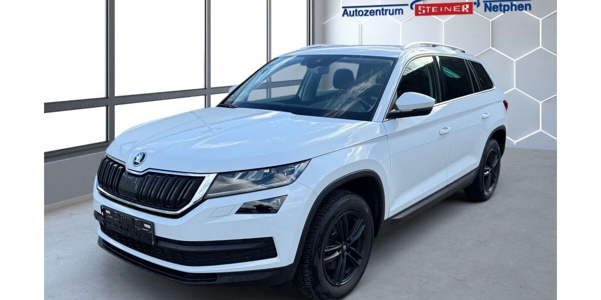 Skoda Kodiaq 100.570 km 17.580 &euro; Netphen 57250