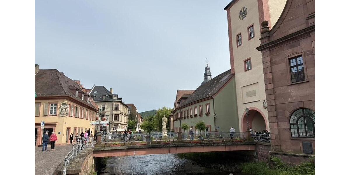 Etagenwohnung Ettlingen - 3 Zimmer, 124 m&sup2;, 1.700&euro; | Angebot:26362686