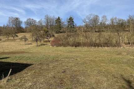 Grundstück Tiefenlauter Tiefenlauter - 45.000&euro; | Angebot:19521125