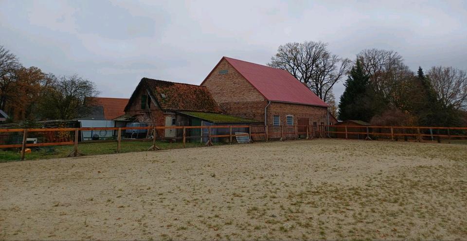 Bauernhaus, Landhaus Wagenfeld - 10 Zimmer, 250 m&sup2;, 479.000&euro; | Angebot:24463083