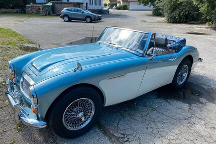 Austin Healey Andere