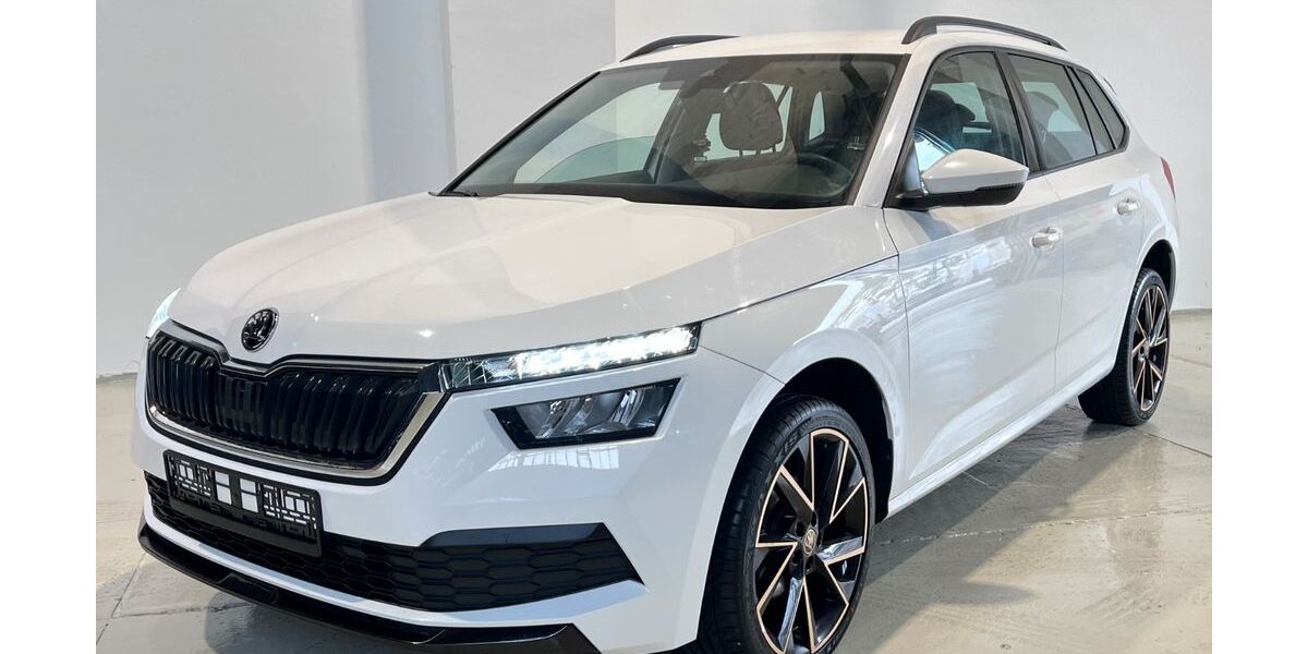 Skoda Kamiq 76.554 km 17.500 &euro; Potsdam-Drewitz b.Berlin 14478