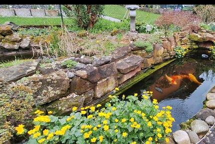 Haus Erbach - 11 Zimmer, 312 m&sup2;, 460.000&euro; | Angebot:25851791