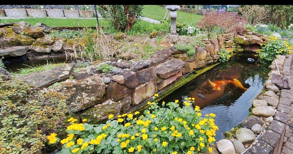 Mehrfamilienhaus, Wohnhaus Erbach - 11 Zimmer, 312 m&sup2;, 460.000&euro; | Angebot:25851791