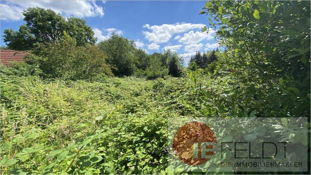 Bauernhaus, Landhaus Goldberg - 6 Zimmer, 150 m&sup2;, 119.000&euro; | Angebot:25821875
