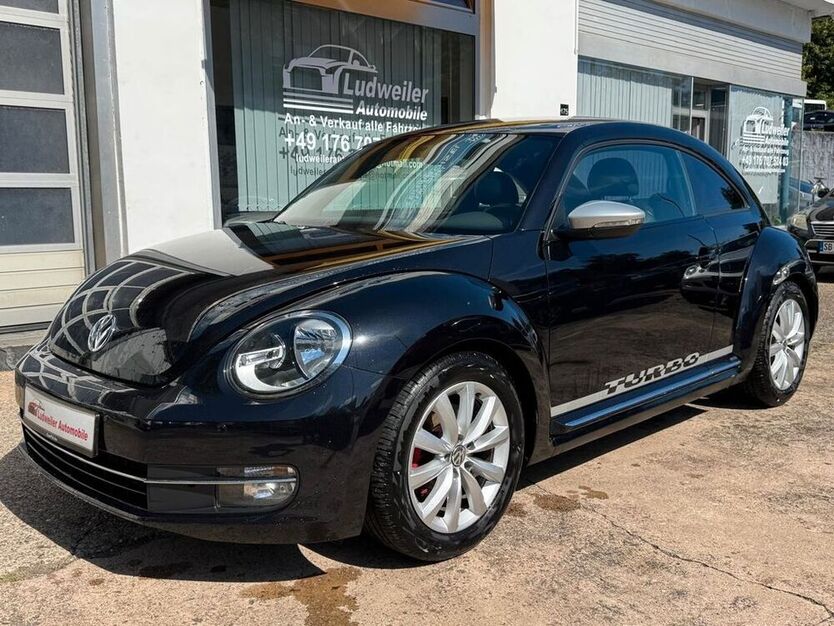 Beetle