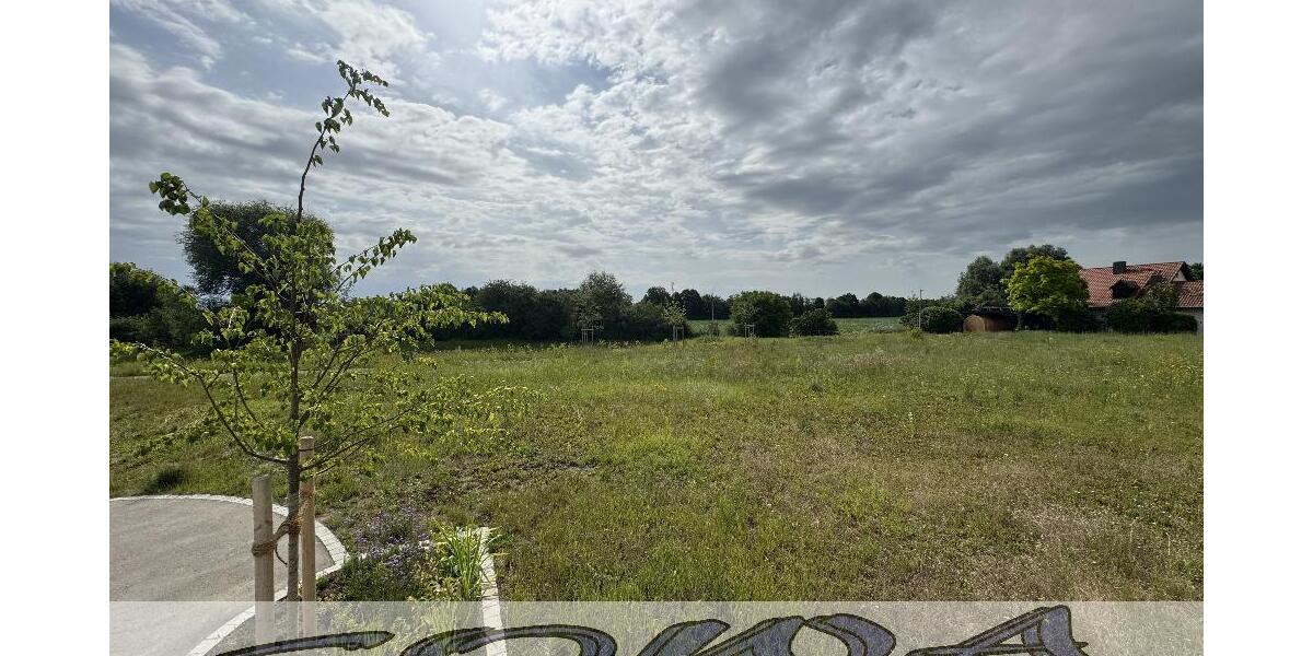 Baugrundstück Neuburg Heinrichsheim ohne Bauzwang - Ein Objekt von Ihrem Immobilienpartner SOWA Immobilien und Finanzen - Grundstück Neuburg | Angebot:27143414