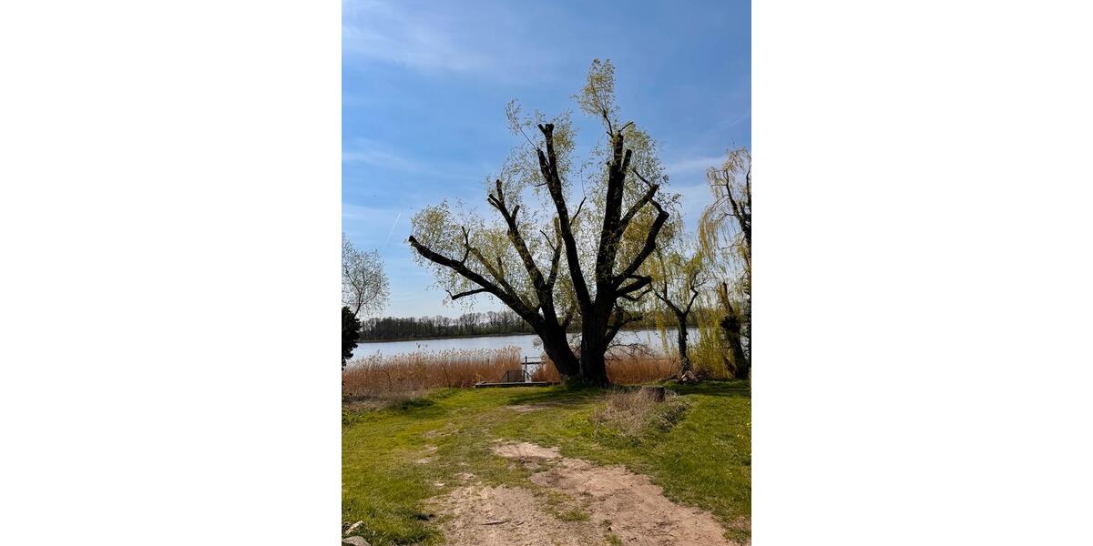 Bungalow Neuruppin - 2 Zimmer, 30 m&sup2;, 118.000&euro; | Angebot:26226428