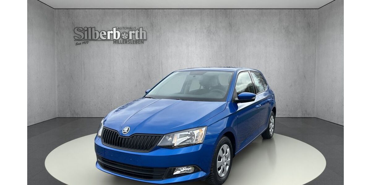 Skoda Fabia 40.749 km 11.990 &euro; Hillersleben 39343