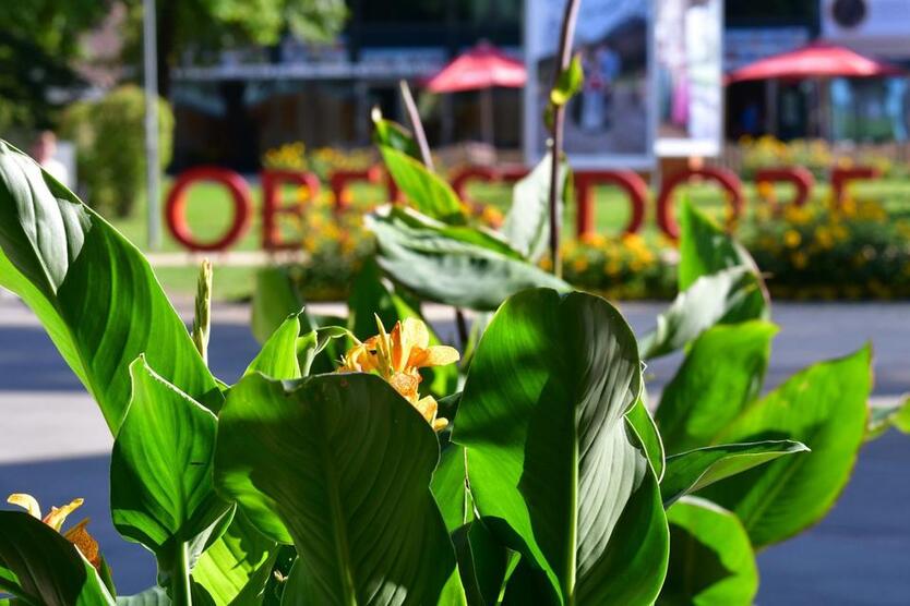 Perfekte All-Inclusive-Mietwohnung in Oberstdorf zimmer