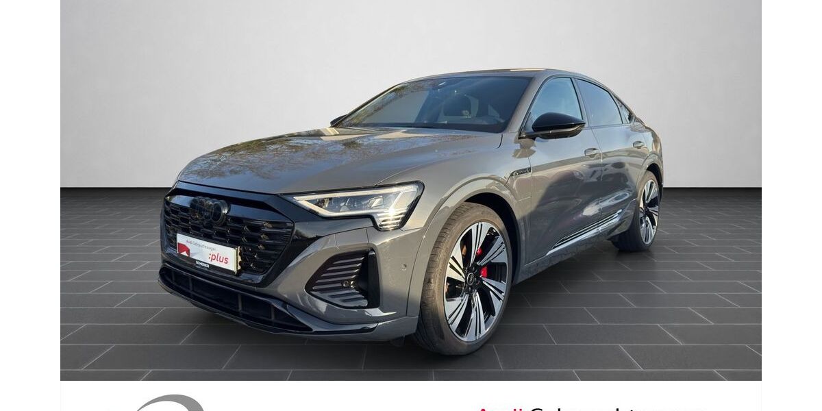 Audi Q8 e-tron 18.364 km 61.900 &euro; Ludwigshafen 67063